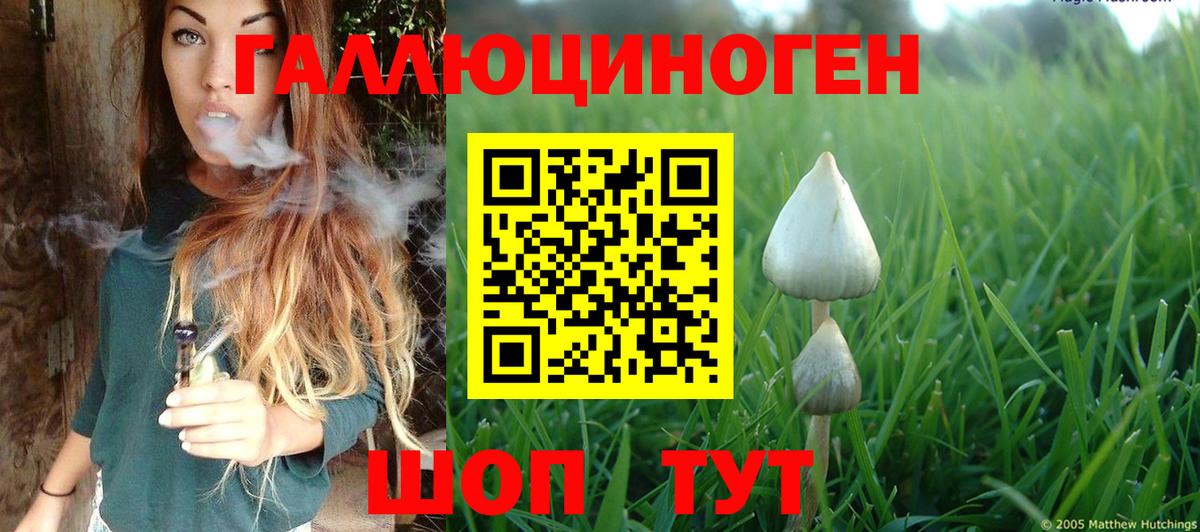 Галлюциногенные грибы GOLDEN TEACHER  Псилоцибиновые грибы мицелий  купить закладку  Вход с VPN  Фролово 